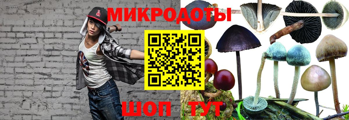 Галлюциногенные грибы Cubensis  Вход с VPN  Белореченск 